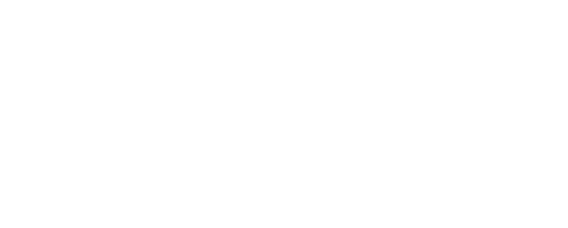 edith-stein-logo-weiss